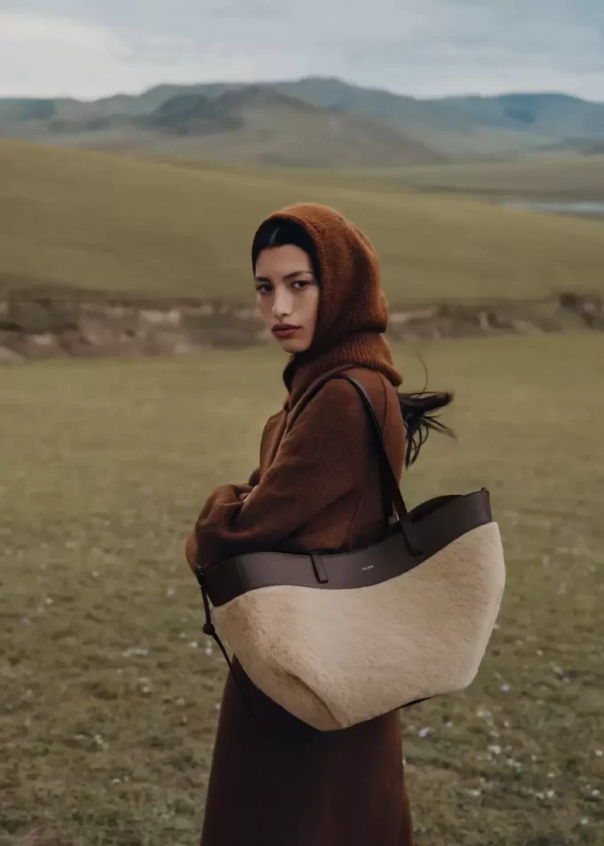 Cyme Edition  Alpaca