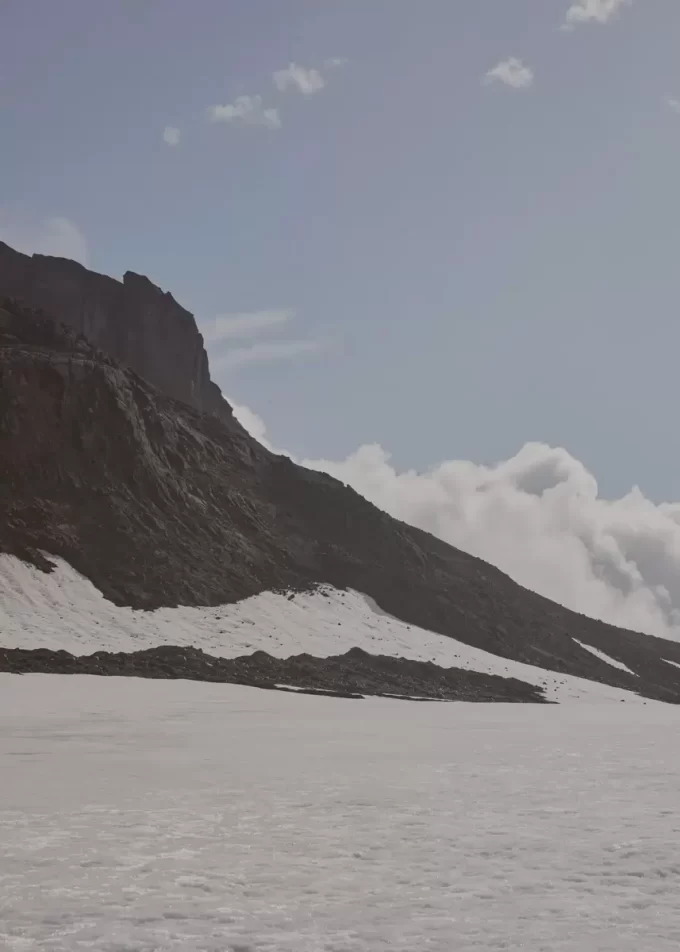 Numéro Un Nano Edition  Textured Tan